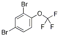 2,4-dibromo-1-(trifluoromethoxy)benzene 구조식 이미지