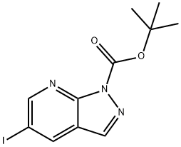 tert-Butyl 5-iodo-1H-pyrazolo[3,4-b]pyridine-1-carboxylate 구조식 이미지