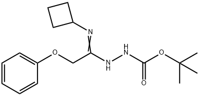 N'-[1-Cyclobutylamino-2-phenoxyethylidene]-hydrazinecarboxylic acid tert-butyl ester Structure