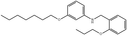 3-(Heptyloxy)-N-(2-propoxybenzyl)aniline Structure