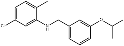 5-Chloro-N-(3-isopropoxybenzyl)-2-methylaniline 구조식 이미지