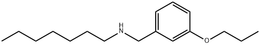 N-(3-Propoxybenzyl)-1-heptanamine 구조식 이미지