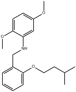 N-[2-(Isopentyloxy)benzyl]-2,5-dimethoxyaniline Structure