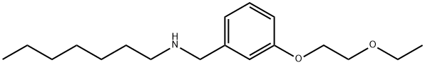 N-[3-(2-Ethoxyethoxy)benzyl]-1-heptanamine 구조식 이미지