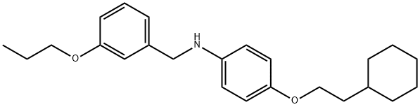 N-[4-(2-Cyclohexylethoxy)phenyl]-N-(3-propoxybenzyl)amine 구조식 이미지