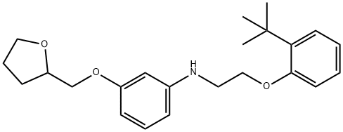 N-{2-[2-(tert-Butyl)phenoxy]ethyl}-3-(tetrahydro-2-furanylmethoxy)aniline Structure