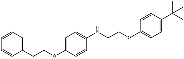 N-{2-[4-(tert-Butyl)phenoxy]ethyl}-4-(phenethyloxy)aniline 구조식 이미지