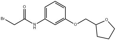 2-Bromo-N-[3-(tetrahydro-2-furanylmethoxy)phenyl]-acetamide Structure