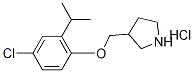 3-[(4-Chloro-2-isopropylphenoxy)methyl]-pyrrolidine hydrochloride Structure