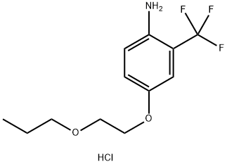 4-(2-Propoxyethoxy)-2-(trifluoromethyl)anilinehydrochloride 구조식 이미지