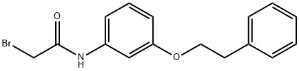 2-Bromo-N-[3-(phenethyloxy)phenyl]acetamide 구조식 이미지