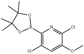 2,5-Dichloro-3-methoxy-6-(4,4,5,5-tetramethyl-1,3,2-dioxaborolan-2-yl)pyridine 구조식 이미지