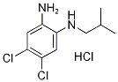 4,5-Dichloro-N-isobutylbenzene-1,2-diamine hydrochloride 구조식 이미지