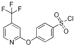 2-[4-(Chlorosulphonyl)phenoxy]-4-(trifluoromethyl)pyridine 구조식 이미지