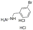 1-(3-Bromobenzyl)hydrazine dihydrochloride Structure