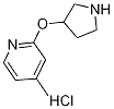 4-Methyl-2-(pyrrolidin-3-yloxy)pyridine hydrochloride Structure
