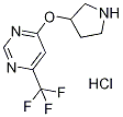 4-(Pyrrolidin-3-yloxy)-6-(trifluoromethyl)pyrimidine hydrochloride 구조식 이미지