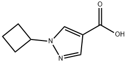 1-Cyclobutyl-1H-pyrazole-4-carboxylic acid Structure