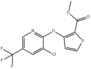 Methyl 3-[3-chloro-5-(trifluoromethyl)pyridin-2-yloxy]thiophene-2-carboxylate 97% Structure