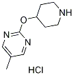 5-Methyl-2-(piperidin-4-yloxy)pyrimidine hydrochloride Structure