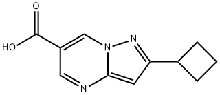 2-Cyclobutylpyrazolo[1,5-a]pyrimidine-6-carboxylic acid Structure