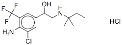 Mapenterol-d6 Hydrochloride 구조식 이미지