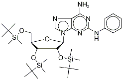 2-PhenylaMino-2',3',5'-tris-O-tertbutyldiMethylsilyl Adenosine 구조식 이미지