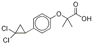 Ciprofibrate-d6 Structure