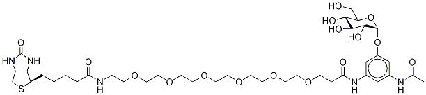 N-Acetyl-N-21-(biotinylaMino)-4,7,10,13,16,19-hexaoxaheneicosanoyl-3,5-diaMinophenol-α-glucoside 구조식 이미지