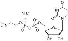 Uridine Diphosphate Choline Ammonium Salt Structure