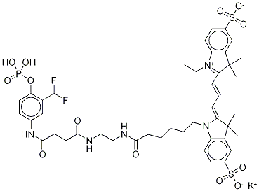 Ethylenediamine N-[(Cyanine 3) Monofunctional Hexanoic Acid]-N[3-difluoromethyl-4-phosphoanilinamidosuccinic Acid] Diamide 구조식 이미지