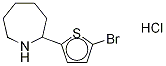 2-(5-BroMo-2-thienyl)hexahydro-1H-azepine Hydrochloride Structure