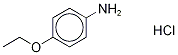 4-(Ethoxy-d5)phenylaMine Hydroc 구조식 이미지