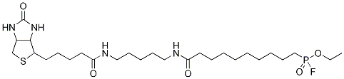FP-Biotin-d4 Structure