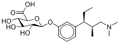 Tapentadol-d5 O-β-D-Glucuronide 구조식 이미지