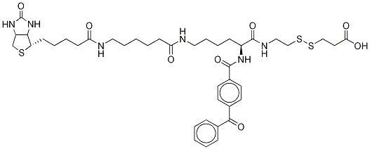 2-{N2-[Nα-Benzoylbenzoicamido-N6-6-biotinamidocaproyl]lysinylamido}ethyl-2’-carboxylethyl Disulfide 구조식 이미지