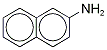  2-NaphthylaMine-13C6