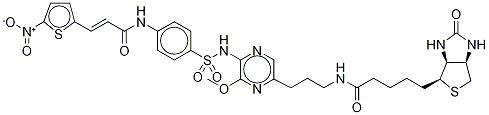  Biotin-NecrosulfonaMide Propyl AMide