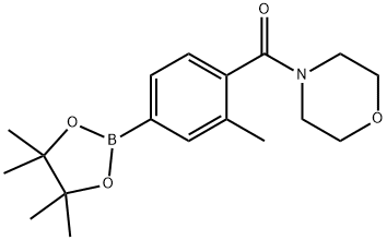 [2-Methyl-4-(4,4,5,5-tetraMethyl-[1,3,2]dioxaborolan-2-yl)phenyl]-Morpholin-4-yl-Methanone Structure