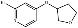 2-broMo-3-((tetrahydrofuran-3-yl)oxy)pyridine 구조식 이미지