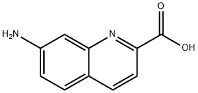 2-Quinolinecarboxylicacid,7-amino-(9CI) Structure