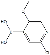 2-Chloro-5-Methoxypyridine-4-ylboronic acid 구조식 이미지