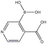 3-Boronoisonicotinic acid Structure