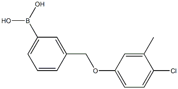 3-[(4-Chloro-3-Methylphenoxy)Methyl)phenylboronic Structure