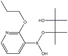 2-N-PROPOXYPYRIDINE-3-BORONIC ACID PINACOL ESTER Structure