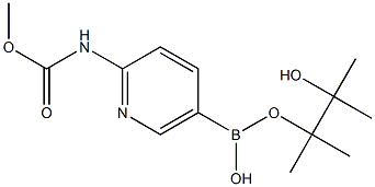 2-MethoxycarbonylaMinopyridine-5-boronic acid, pinacol ester, 97% 구조식 이미지