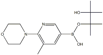 5-METHYL-6-MORPHOLINOPYRIDINE-3-BORONIC ACID PINACOL ESTER 구조식 이미지
