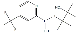 4-(트리플루오로메틸)피리딘-2-붕소산피나콜에스테르 구조식 이미지