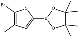 5-BroMo-4-Methylthiophene-2-boronic acid, pinacol ester 구조식 이미지
