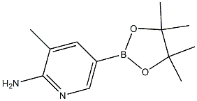 3-Methyl-5-(4,4,5,5-tetraMethyl-[1,3,2]dioxaborolan-2-yl)-pyridin-2-ylaMine Structure